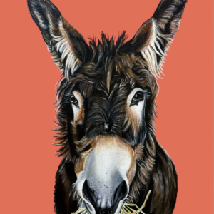 Bella Luna-Donkey Fine Art Print