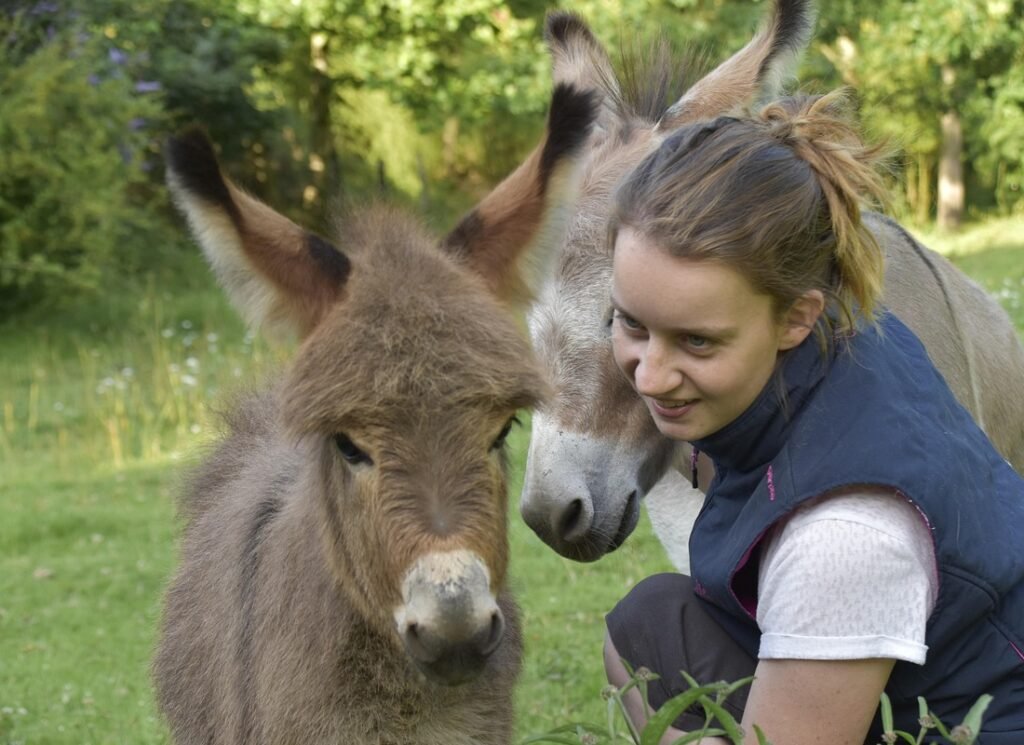 girl, donkey, animal, nature, young girl, asses, donkey colt, complicity, affection, caress, hug, tenderness