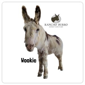 import placeholder for sku donkey stickers