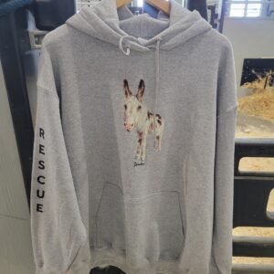 import placeholder for sku wookie grey hooded sweatshirt
