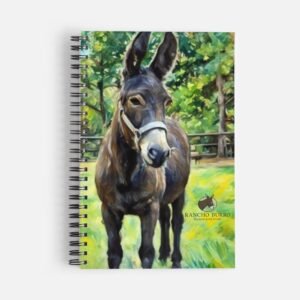 elmer20notepad20frt.jpeg