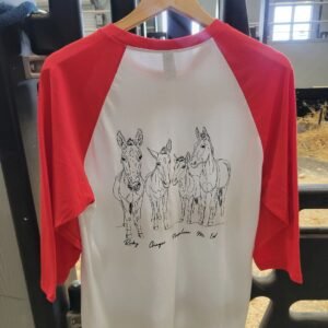 import placeholder for sku mule outline 34 sleeve t shirt