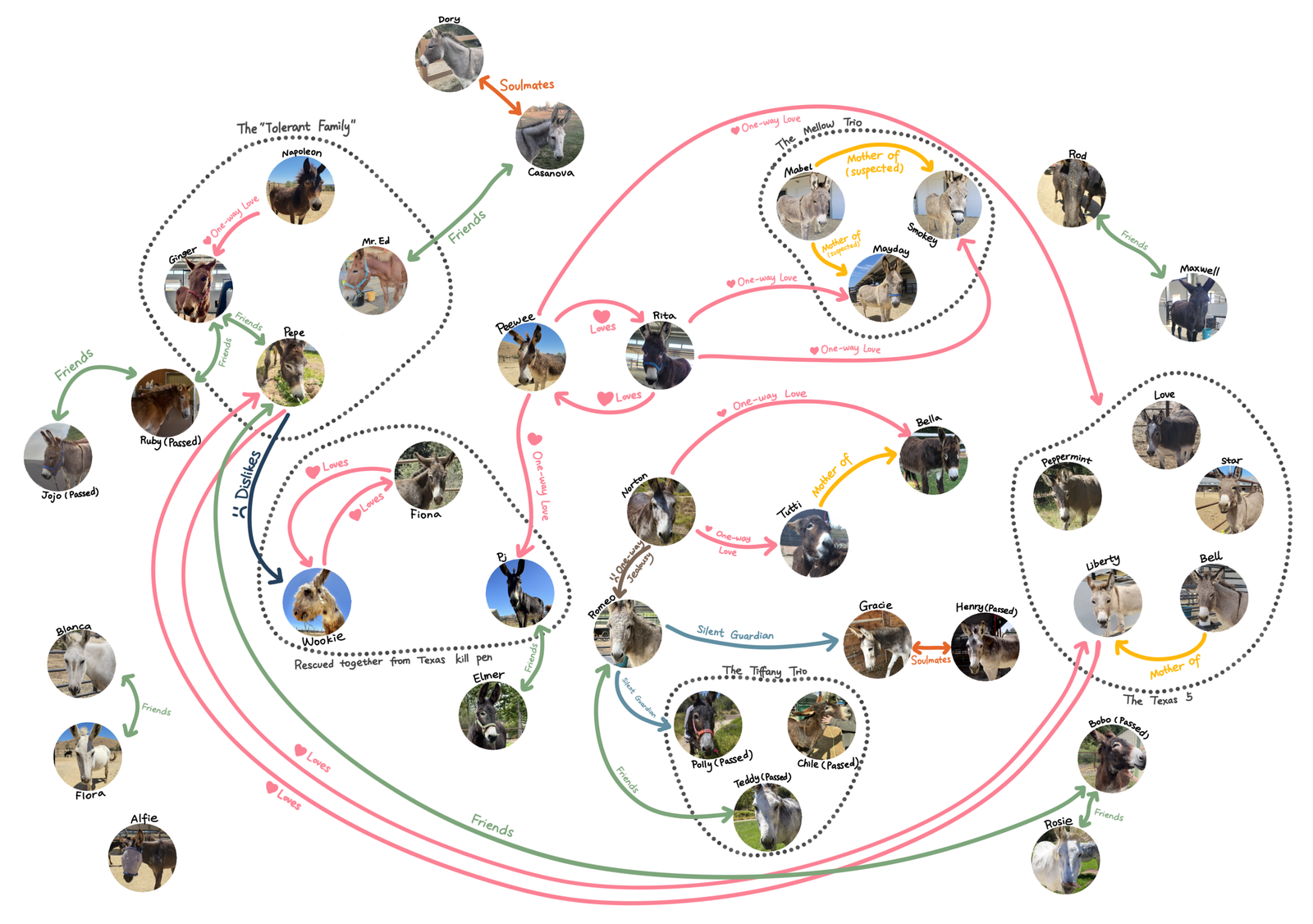 Paddock Politics Map – Interactive Picture