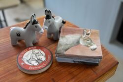 www.ranchoburrodonkeysanctuary.org