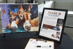 www.ranchoburrodonkeysanctuary.org