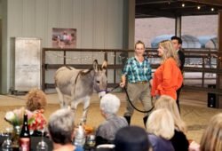 www.ranchoburrodonkeysanctuary.org
